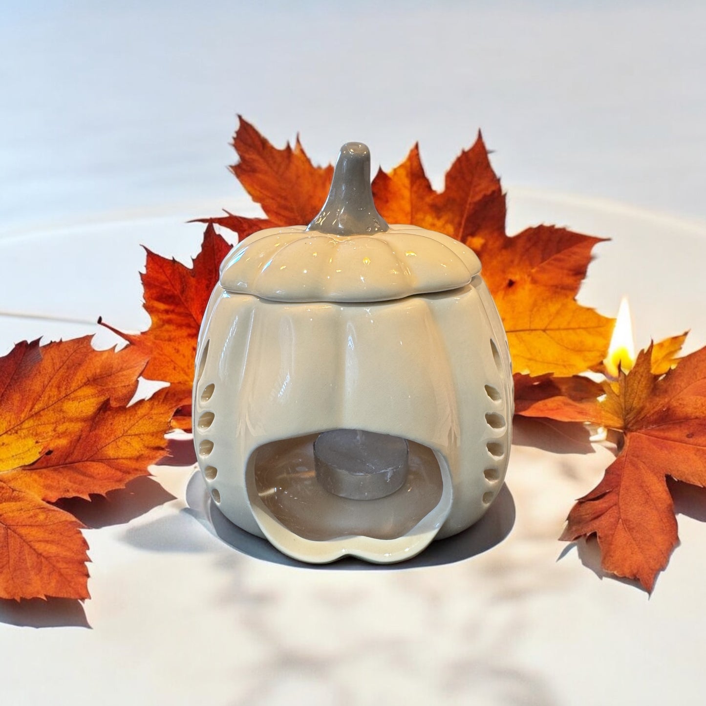 Pumpkin Wax Warmer