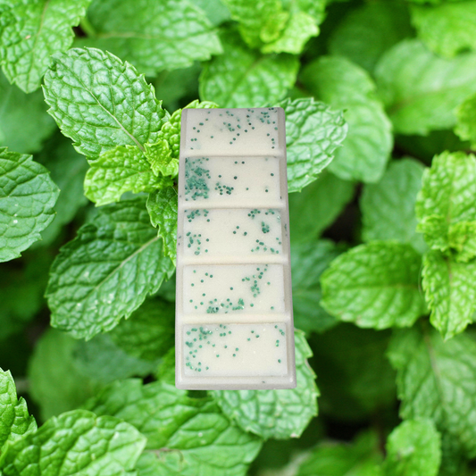 Wild Mint Wax Melt Snap Bar